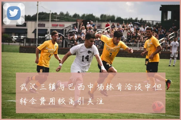 武汉三镇与巴西中场林肯洽谈中但转会费用较高引关注