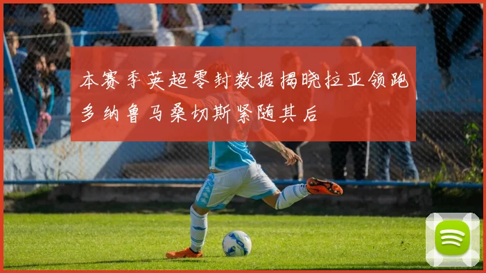 本赛季英超零封数据揭晓拉亚领跑多纳鲁马桑切斯紧随其后
