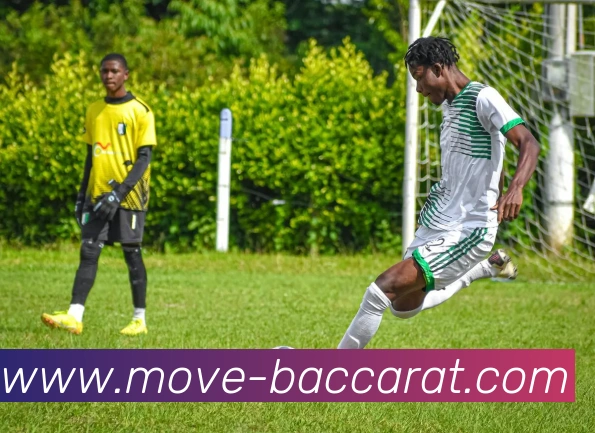 百家乐网站平台生态图