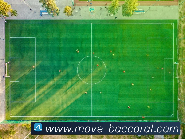 百家乐网站APP 封面图